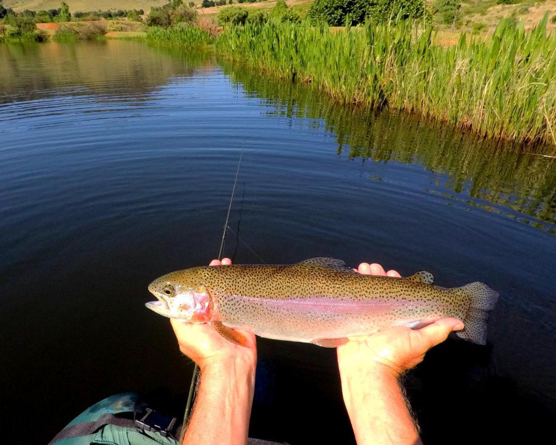 Walkersons Trout And Nature Haven Dullstroom Buitenkant foto