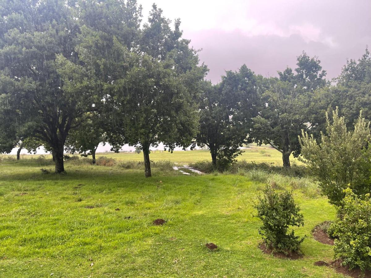 Walkersons Trout And Nature Haven Dullstroom Buitenkant foto