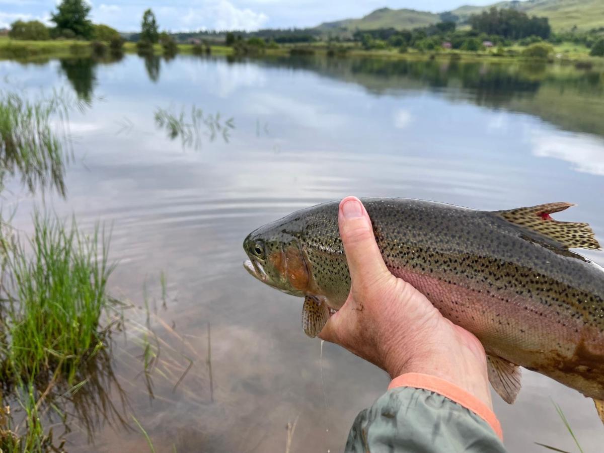 Walkersons Trout And Nature Haven Dullstroom Buitenkant foto